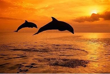 复古风格ARPG《水晶物语：黄昏黎明》1＆12登陆PC